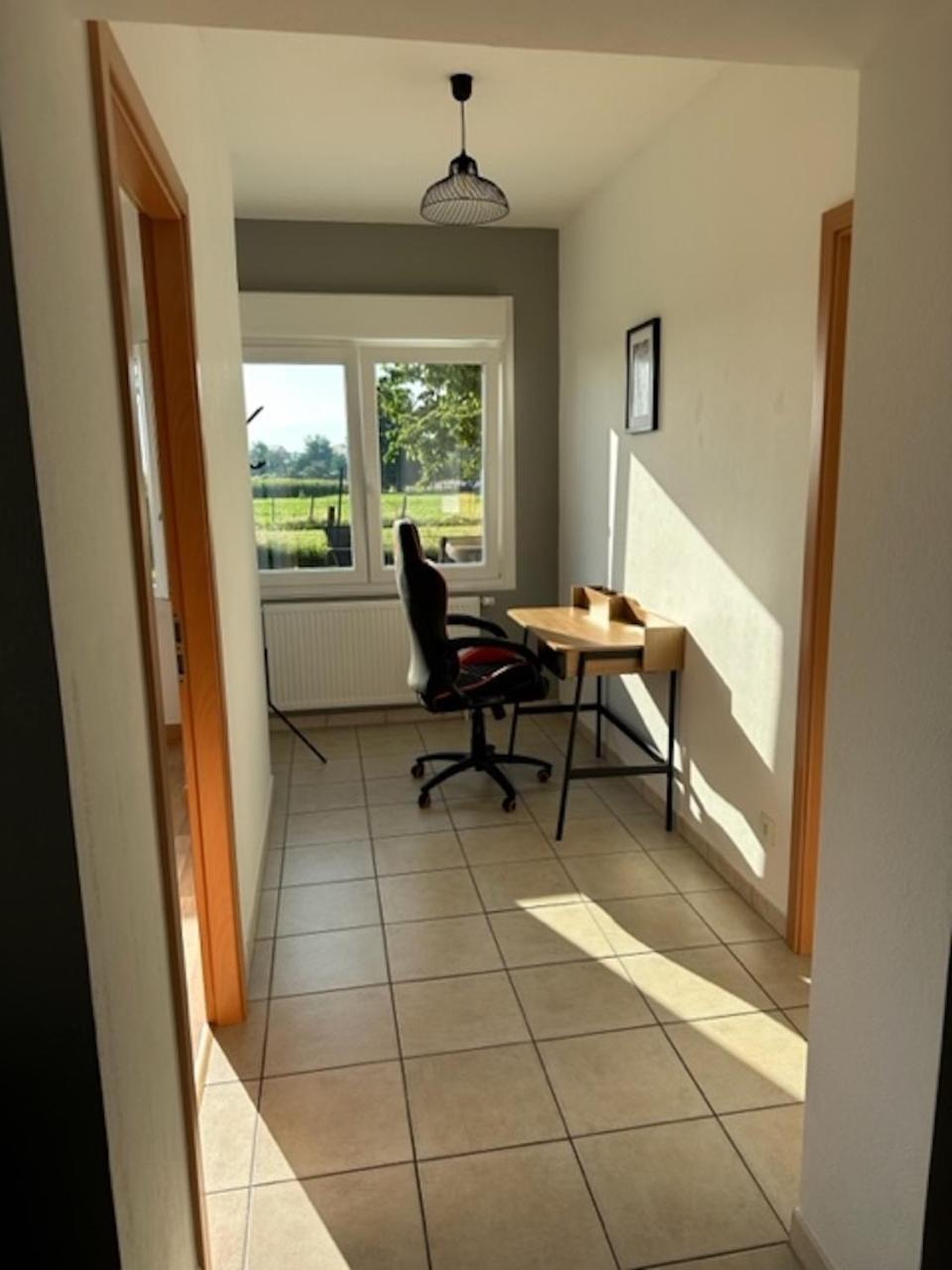 Appartamento Le Nid Du Moulin Batzendorf Esterno foto